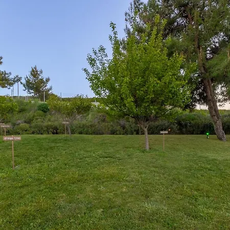 Kos View 1 * Πλατάνι